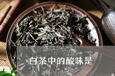 白茶中的酸味是/2023060386259