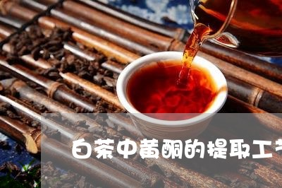 白茶中黄酮的提取工艺是/2023102862602