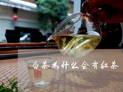 白茶为什么会有红茶/2023072251797