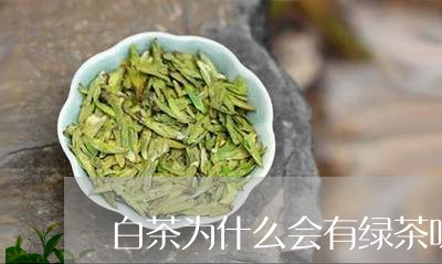 白茶为什么会有绿茶味道/2023102822616