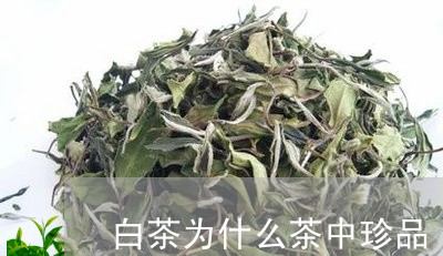 白茶为什么茶中珍品/2023072240715