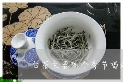 白茶主要哪个季节喝好一点/2023111558616