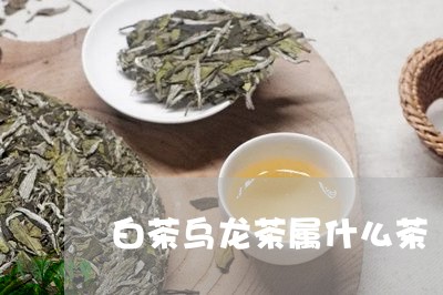 白茶乌龙茶属什么茶/2023072229314