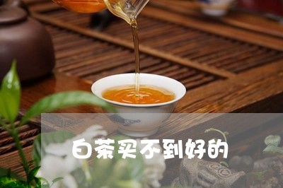 白茶买不到好的/2023060398182