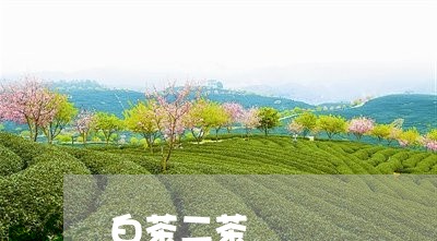 白茶二茶/2023042527948