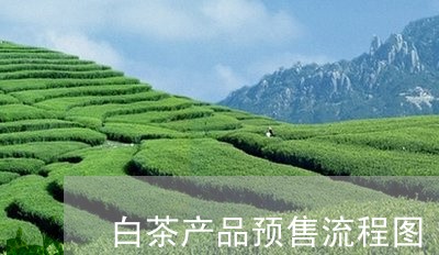 白茶产品预售流程图/2023072128494