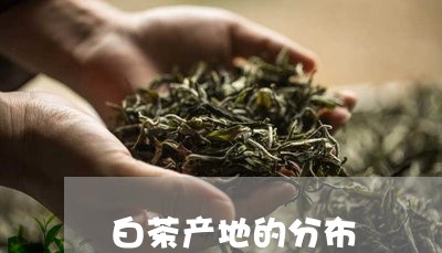 白茶产地的分布/2023060441513