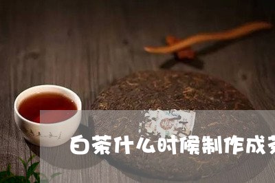 白茶什么时候制作成茶饼/2023102807150