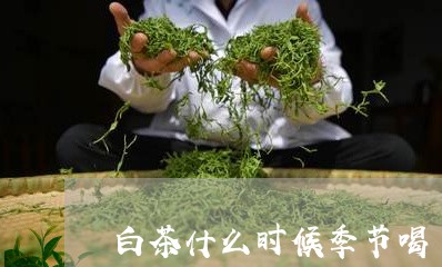 白茶什么时候季节喝/2023072177412