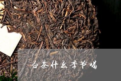 白茶什幺季节喝/2023060376139