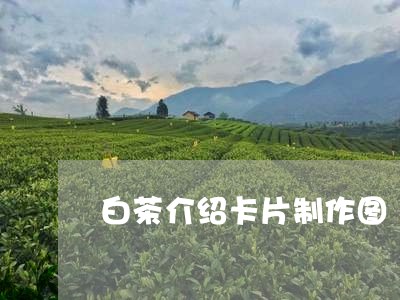 白茶介绍卡片制作图/2023072183815