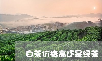 白茶价格高还是绿茶/2023072171793