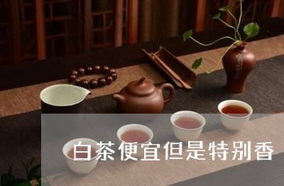 白茶便宜但是特别香/2023072192624