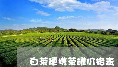 白茶便携茶罐价格表/2023072150583