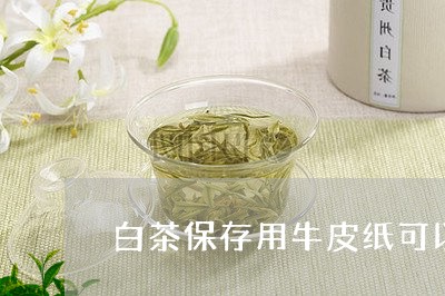 白茶保存用牛皮纸可以吗/2023102892828