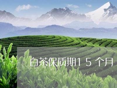 白茶保质期15个月/2023071355047