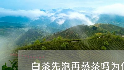 白茶先泡再蒸茶吗为什么/2023102802848