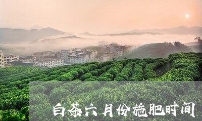 白茶六月份施肥时间/2023072150797