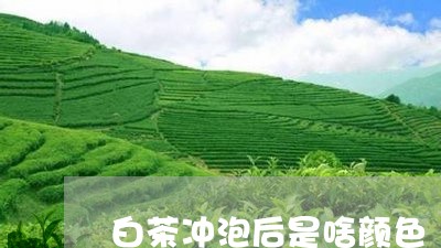 白茶冲泡后是啥颜色/2023072221692