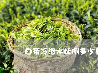 白茶冷泡水比例多少好呢/2023102892926