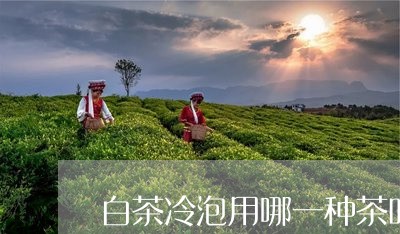 白茶冷泡用哪一种茶叶好/2023111733848