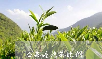 白茶冷泡茶比例/2023060436049