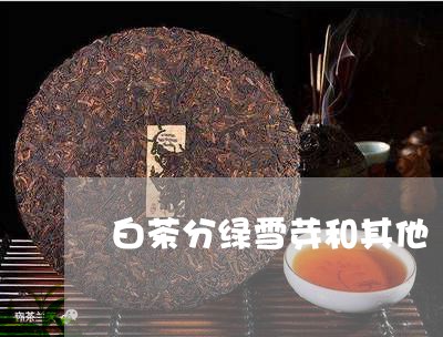 白茶分绿雪芽和其他/2023072219706