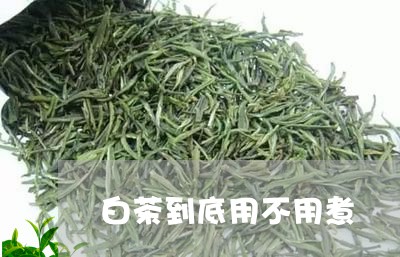 白茶到底用不用煮/2023073127593