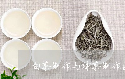 白茶制作与绿茶制作区别/2023102884925