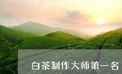 白茶制作大师第一名/2023072223848