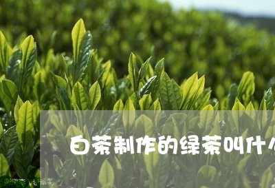 白茶制作的绿茶叫什么名/2023102847148