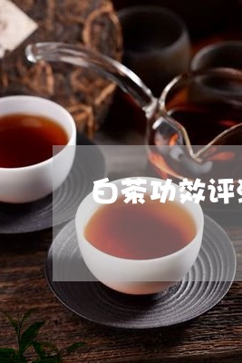 白茶功效评测标准图/2023072194049