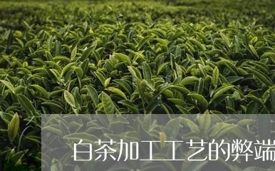 白茶加工工艺的弊端/2023072164037