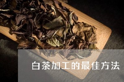 白茶加工的最佳方法/2023072117139