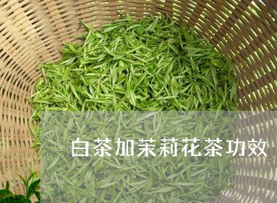 白茶加茉莉花茶功效/2023072126058