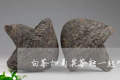 白茶加菊花茶能一起喝吗/2023102829392