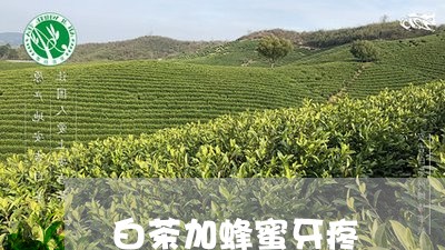 白茶加蜂蜜牙疼/2023060433727