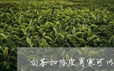 白茶加陈皮胃寒可以喝吗/2023111623037