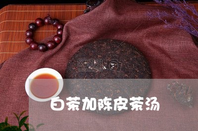 白茶加陈皮茶汤/2023082609369