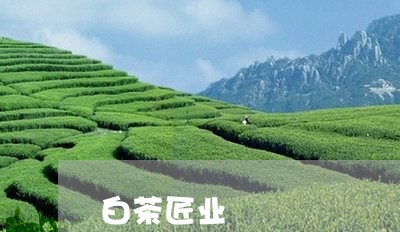 白茶匠业/2023042546260