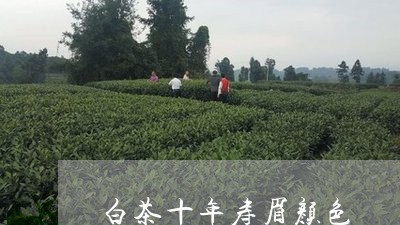 白茶十年寿眉颜色/2023090832805