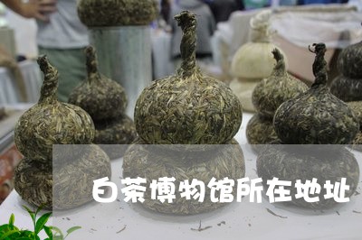 白茶博物馆所在地址/2023072202047