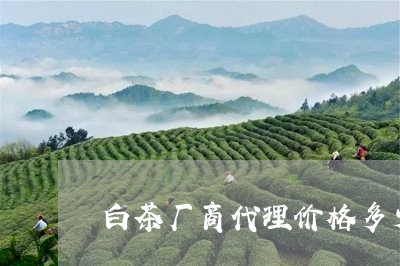 白茶厂商代理价格多少一斤/2023110660726