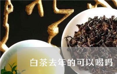 白茶去年的可以喝吗/2023072252693