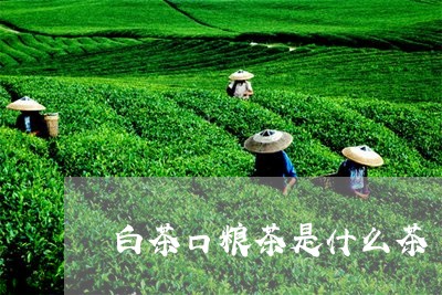 白茶口粮茶是什么茶/2023072273934