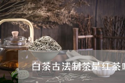 白茶古法制茶是红茶吗/2023100518581