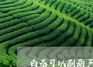 白茶可以刷葫芦底吗/2023072216147