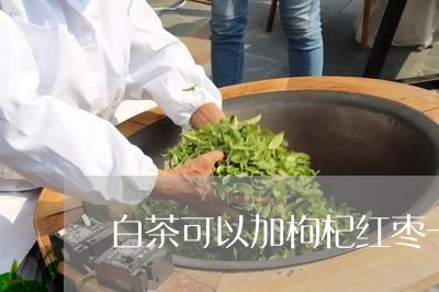 白茶可以加枸杞红枣一起喝吗/2023111533705