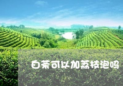 白茶可以加荔枝泡吗/2023072284928