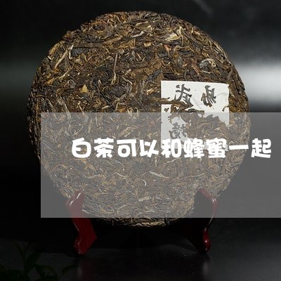 白茶可以和蜂蜜一起/2023072273737